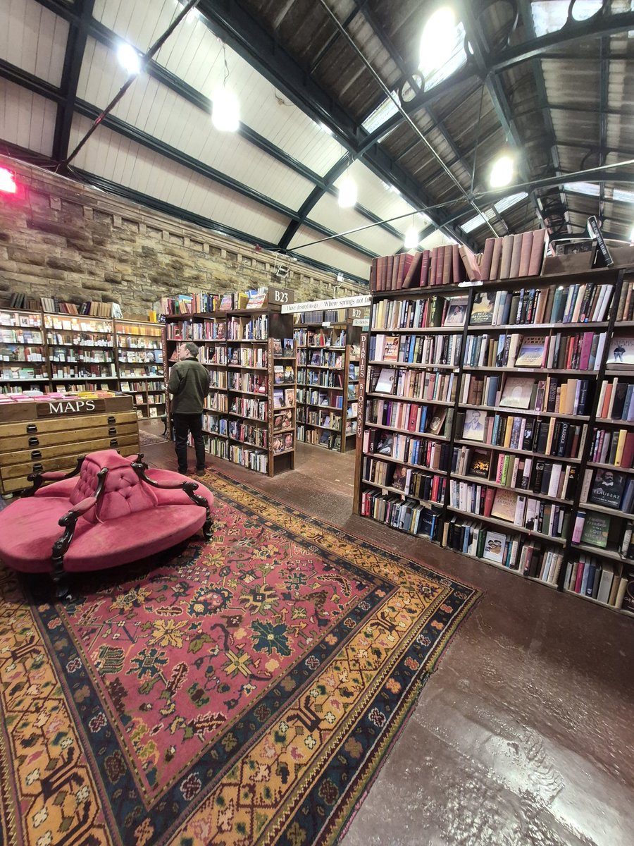 Ronan Beckman 📖✍️📚 tweet media