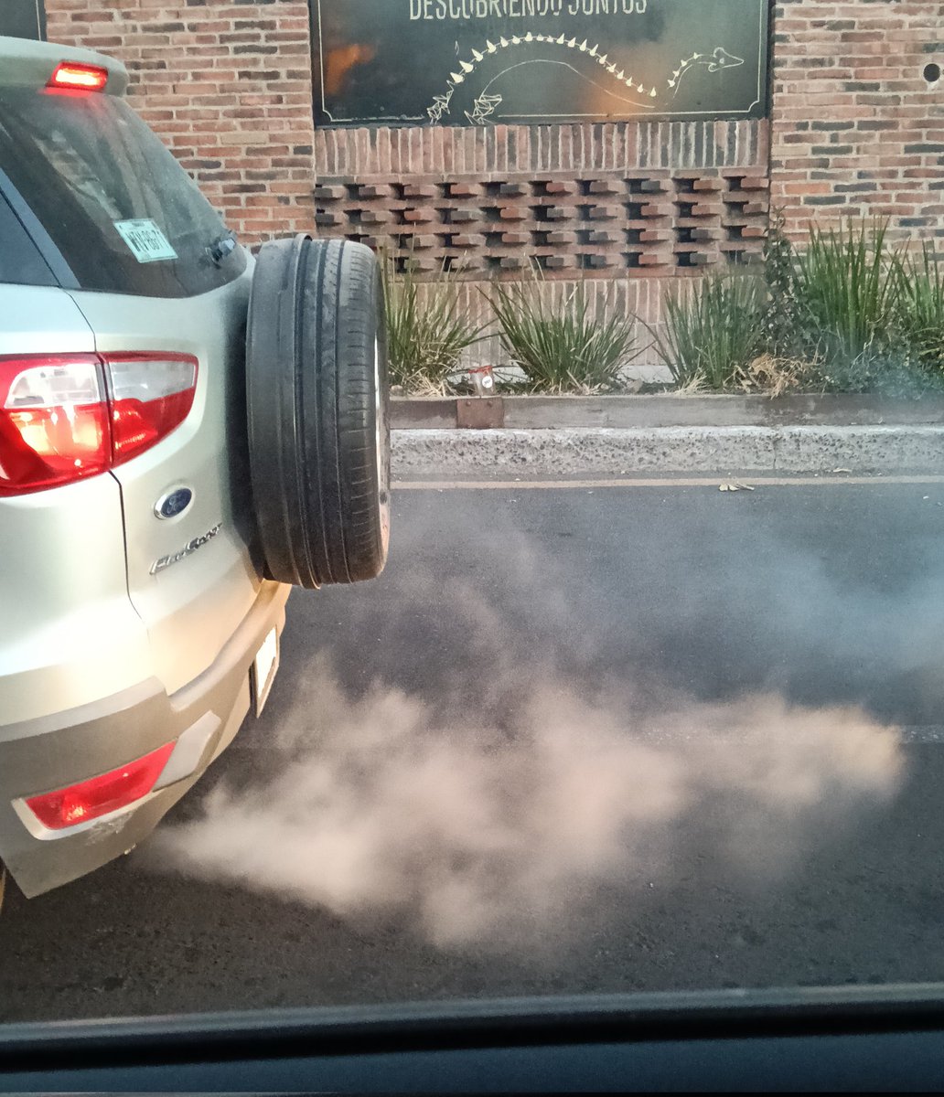 laura granados tweet media