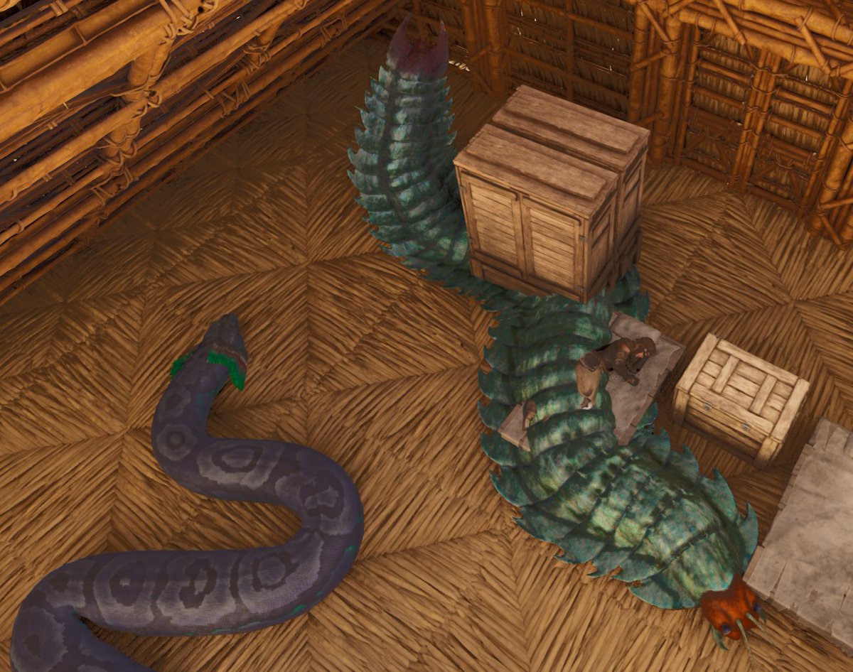 うちゃこ tweet media