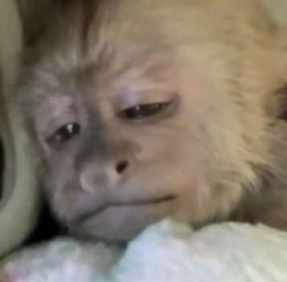 juuh✘ jurídico tobi tweet media