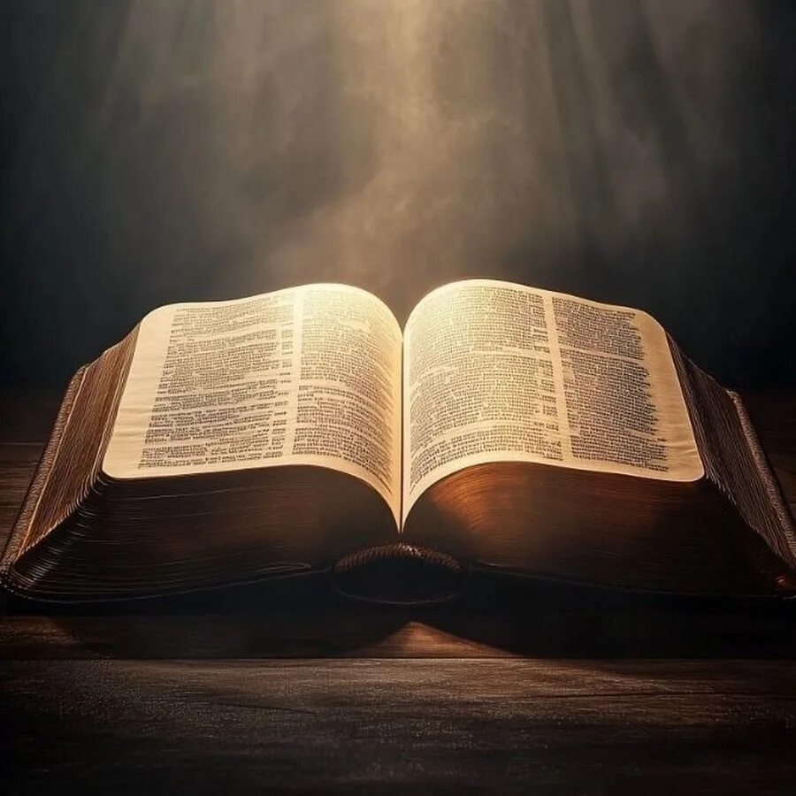 TheStoic_Way's tweet photo. 3 small verses to calm your heart today. 🕊️📖

When the noise of the world gets too loud, these words bring the silence we need. Save this thread for when you need a moment of peace. 🧵👇
#Faith #Peace #Mindfulness https://t.co/q2317hRPIl