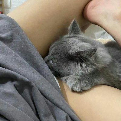 하트 하신분들 자영보냄

오늘 밤12시까지

#맘눌뎀 #천안