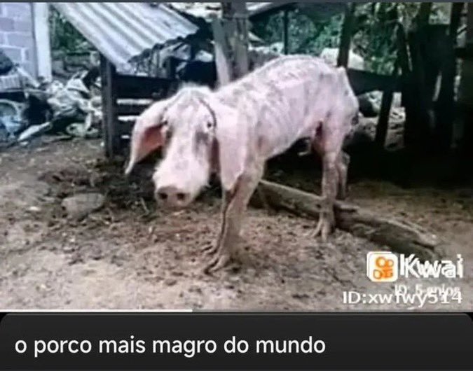 três reuniões e um slide pra fazer hj