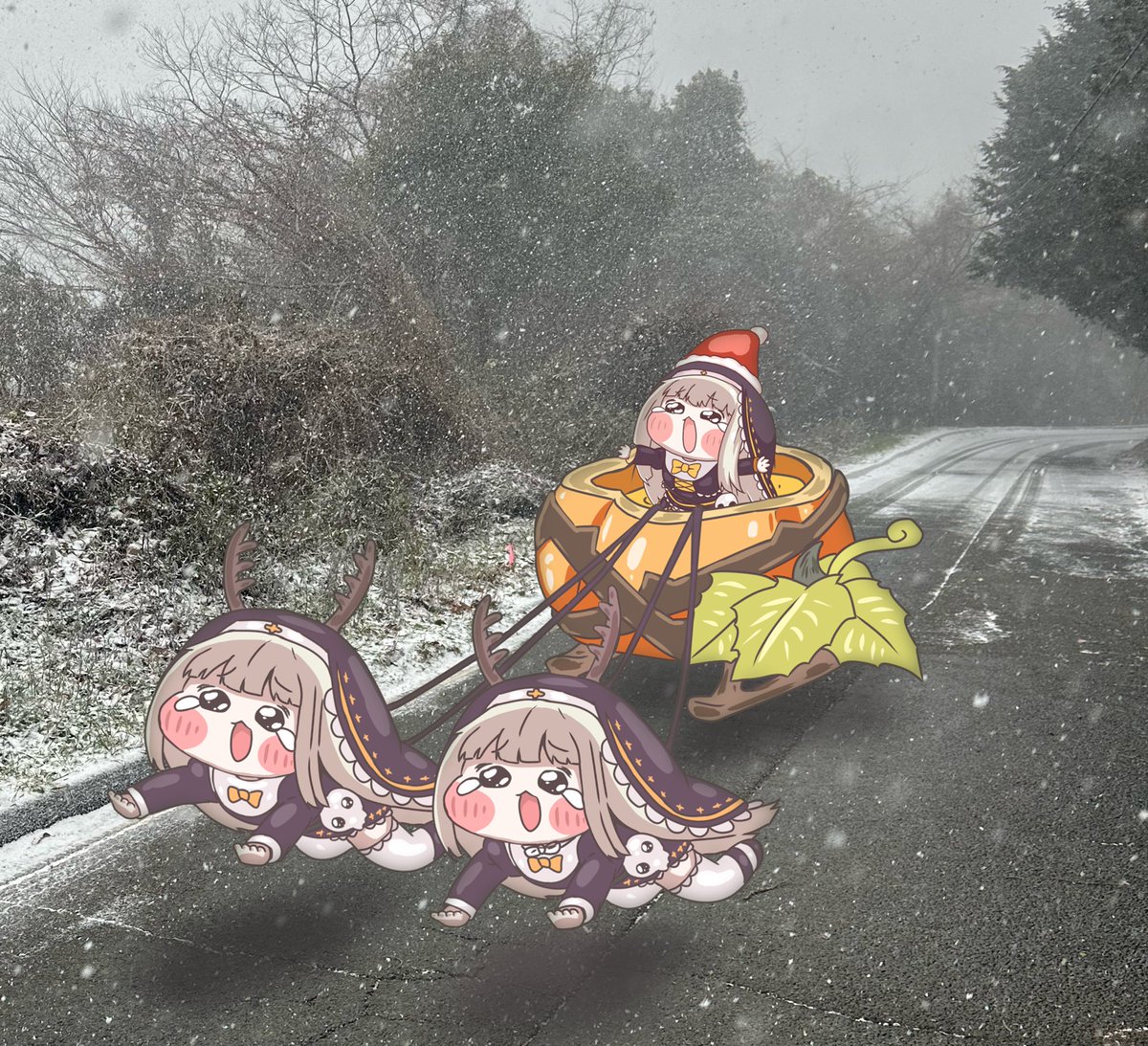 ｷﾞﾙｷﾞﾙﾉ tweet media