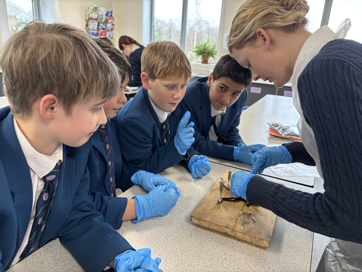 The King's School tweet media