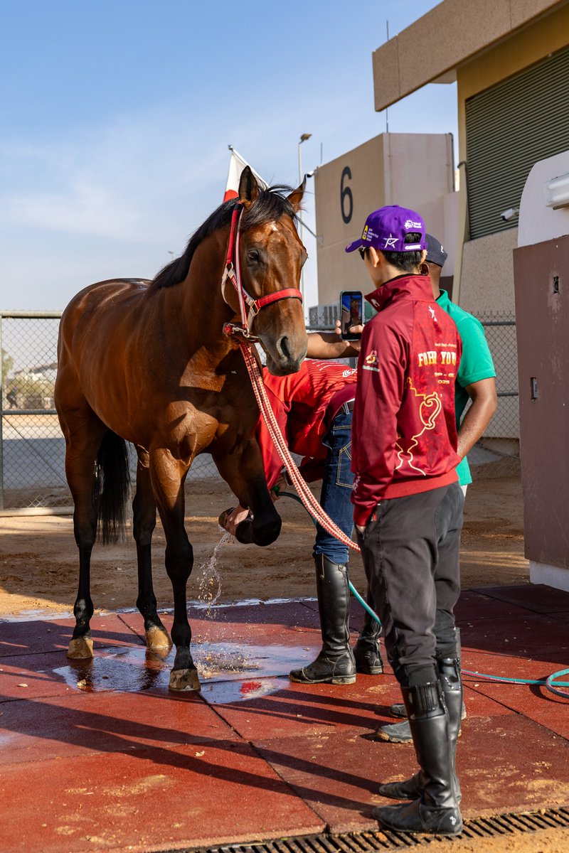 矢作厩舎の新作キャップだぁぁぁぁぁ！！！！！ブリーダーズカップ