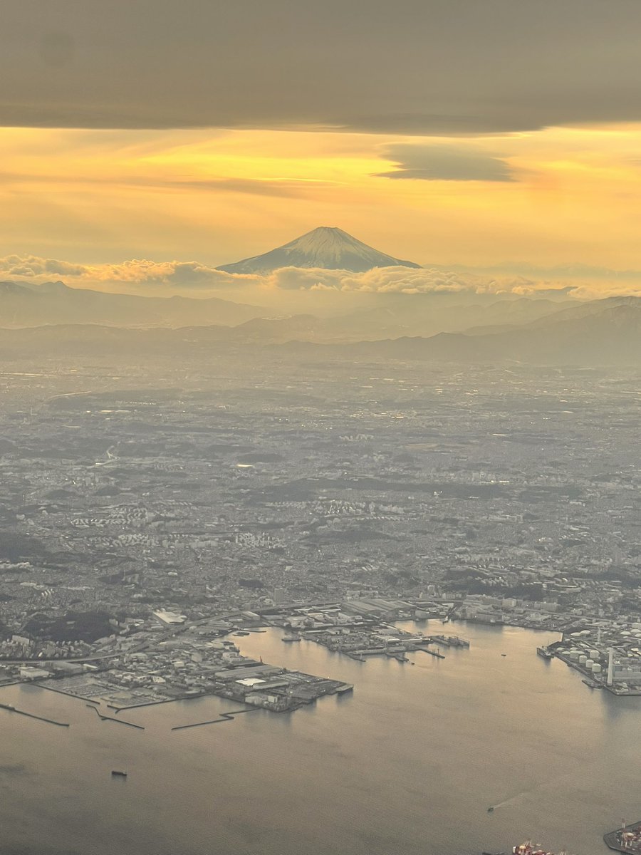 伊原剛志 Tsuyoshi Ihara tweet media