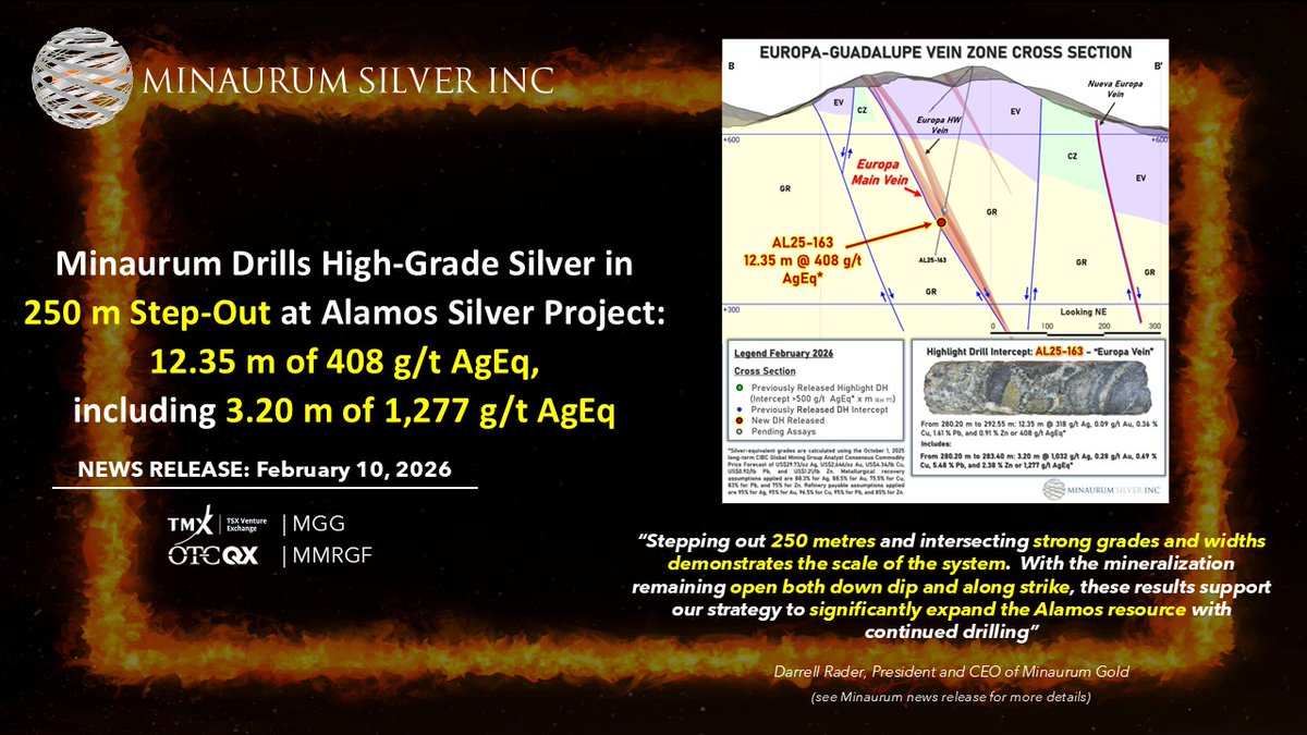 Minaurum Silver tweet media