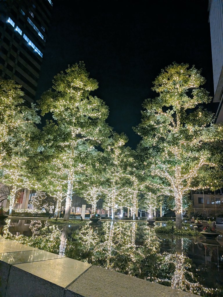 こまさん❄🐈‍⬛💜 (@ebc_os) on X