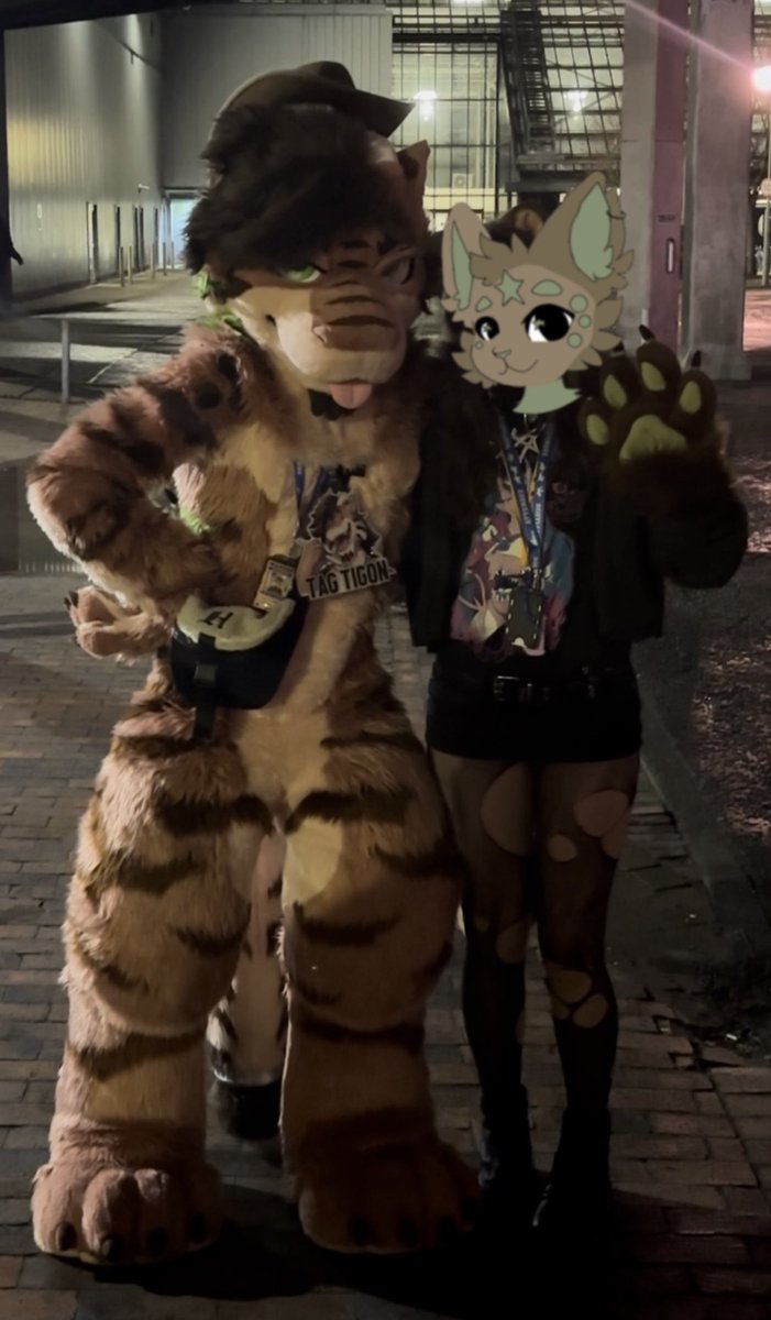 🐈‍⬛ tweet media