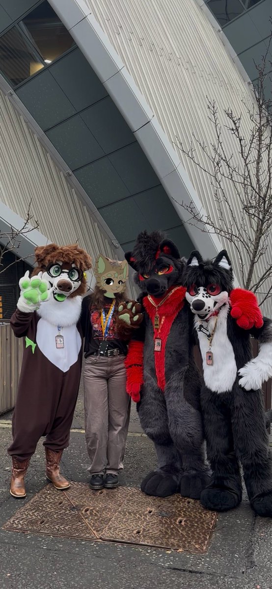 🐈‍⬛ tweet media