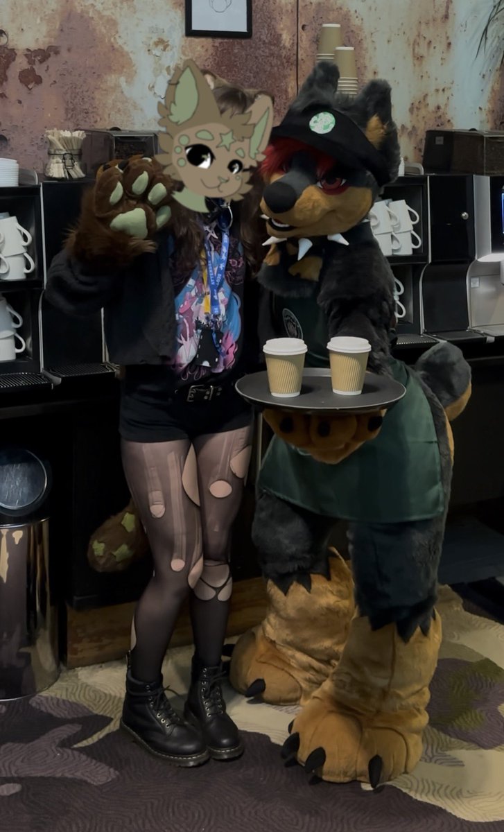 🐈‍⬛ tweet media