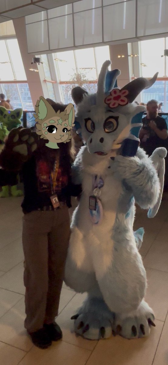 🐈‍⬛ tweet media