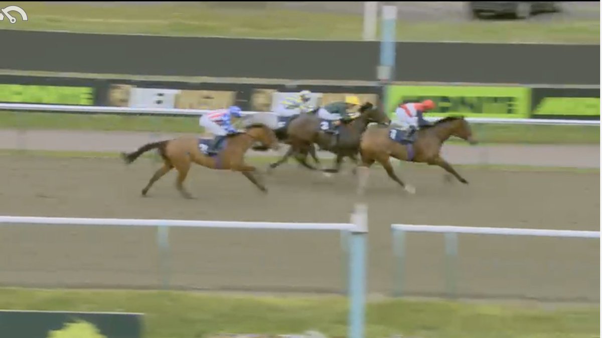 My Racing Tips tweet media