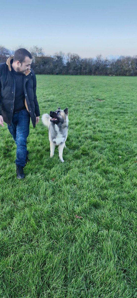 Me and <a href="/K9Genji/">K9Genji</a> enjoying the private dog field #dogsoftwitter #Dogslover #Wolves