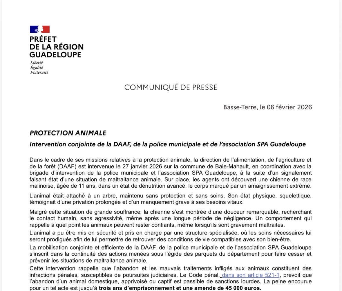 Image de Préfet de Guadeloupe - #ProtectionAnimale