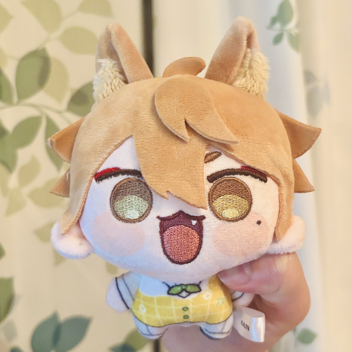 お前やっぱり狐だったのか？！