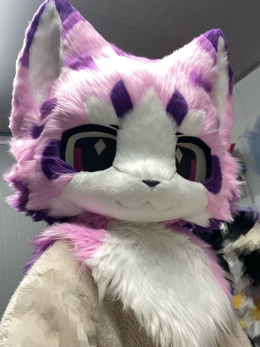 🐱Drops are in preparation!🍇
#Fursuit #Fursuiter #fursuitforsale #fursuitmaker