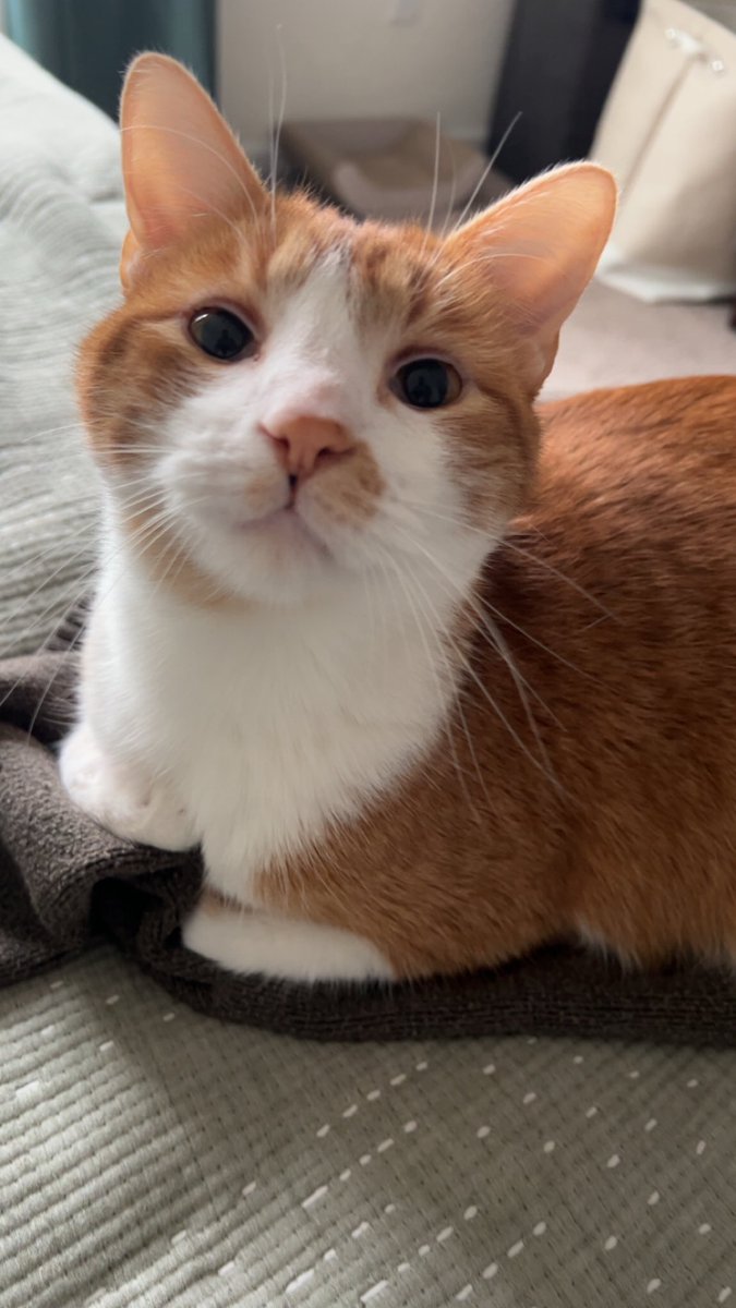 The Free Hug Guy tweet media