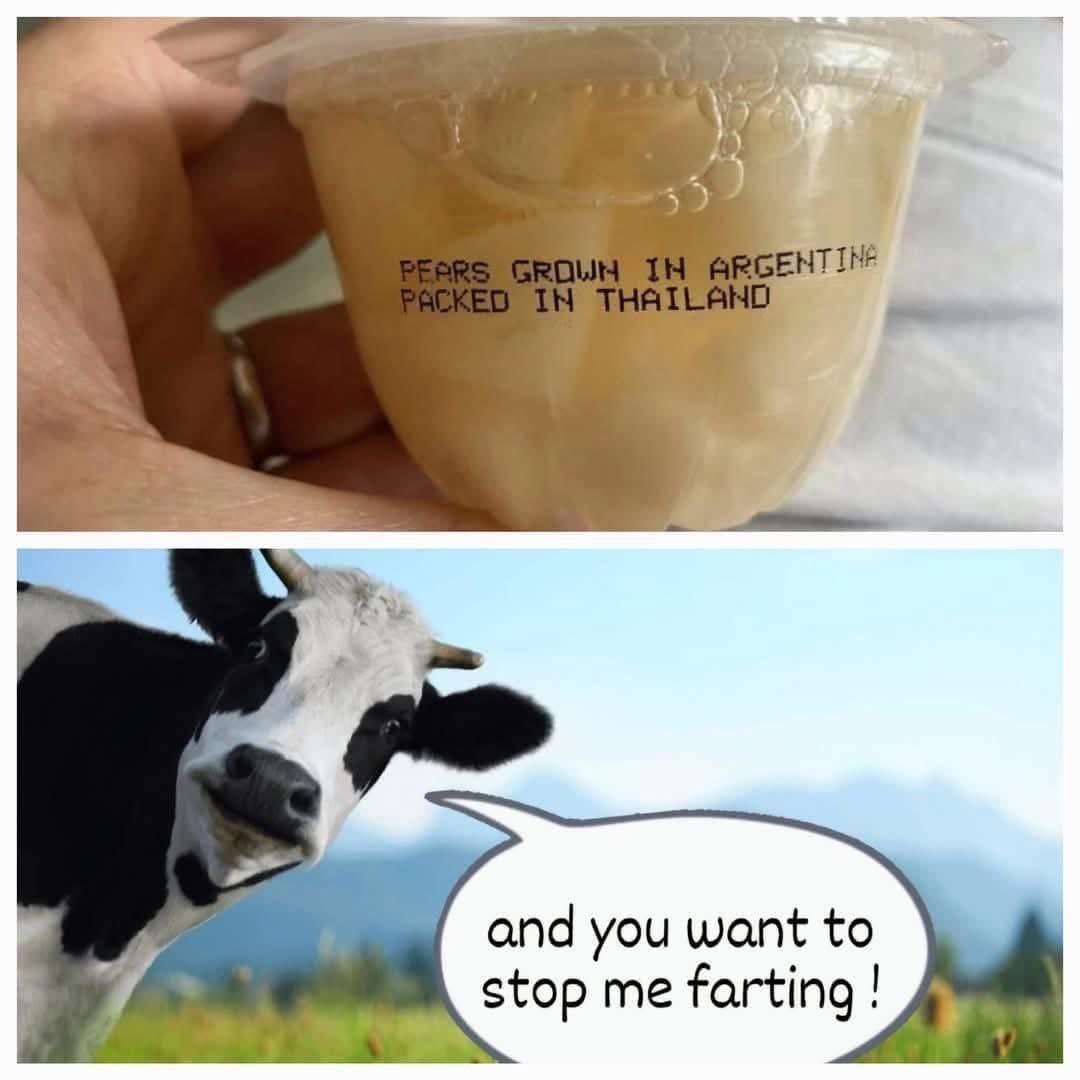 <a href="/AntiWokeMemes/">Anti Woke Memes</a> 🖕🤡