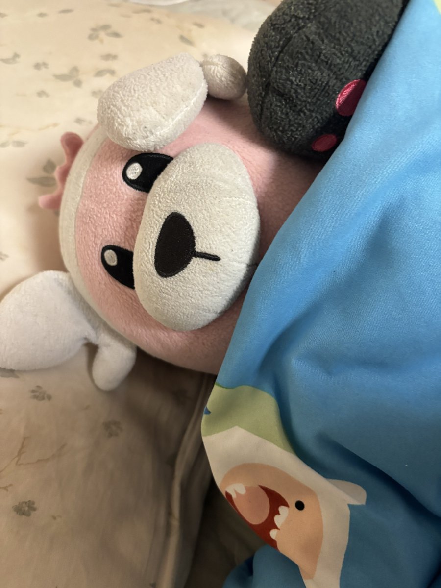 🧸 tweet media