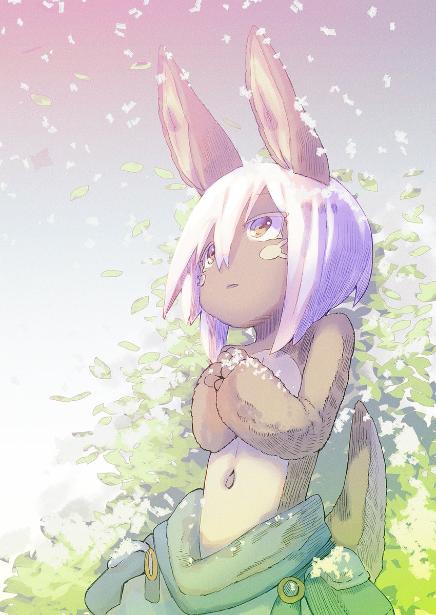 Buna （ぶな） tweet media