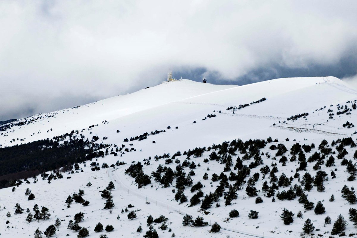 Le Tour de France Femmes avec Zwift tweet media