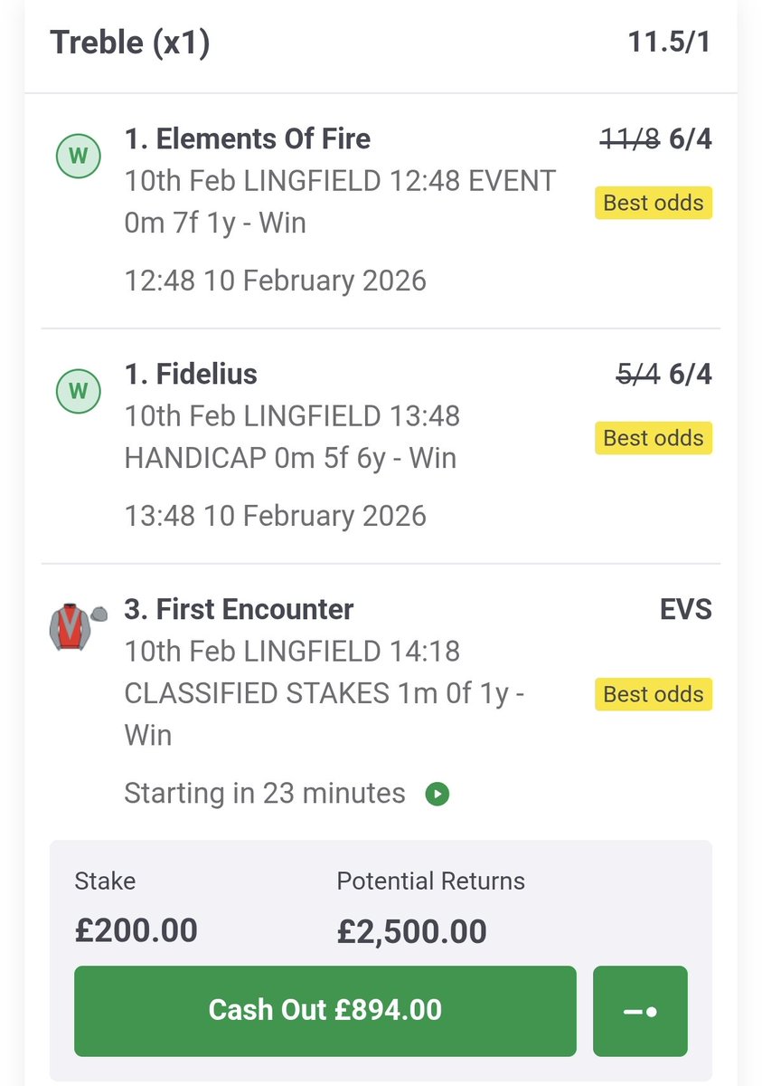 Oisins Horse Info tweet media