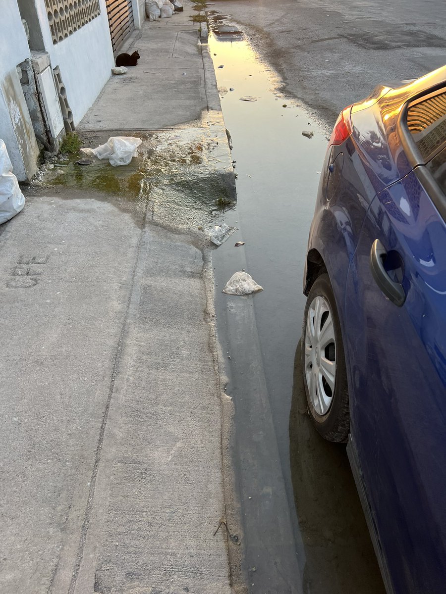 Leoncrue's tweet photo. @JAPAYOficial Quisiera felicitarles por su constancia al no atender reporte de fuga desde hace casi dos años, lo que era algo mínimo ahora se convirtió en algo peor. Folio #2024203194 @huachodiazmena @CeciliaPatronL https://t.co/cdK96uJIg3
