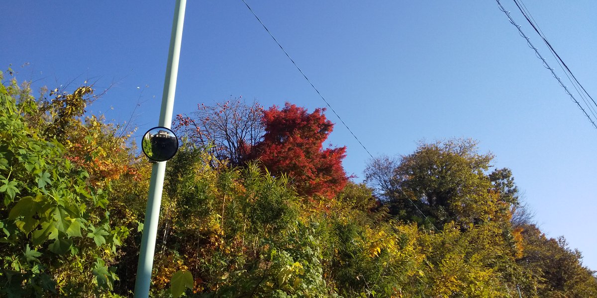 #後ろ姿だけで10RT来たら強者 
近所で見かけたガラモン。