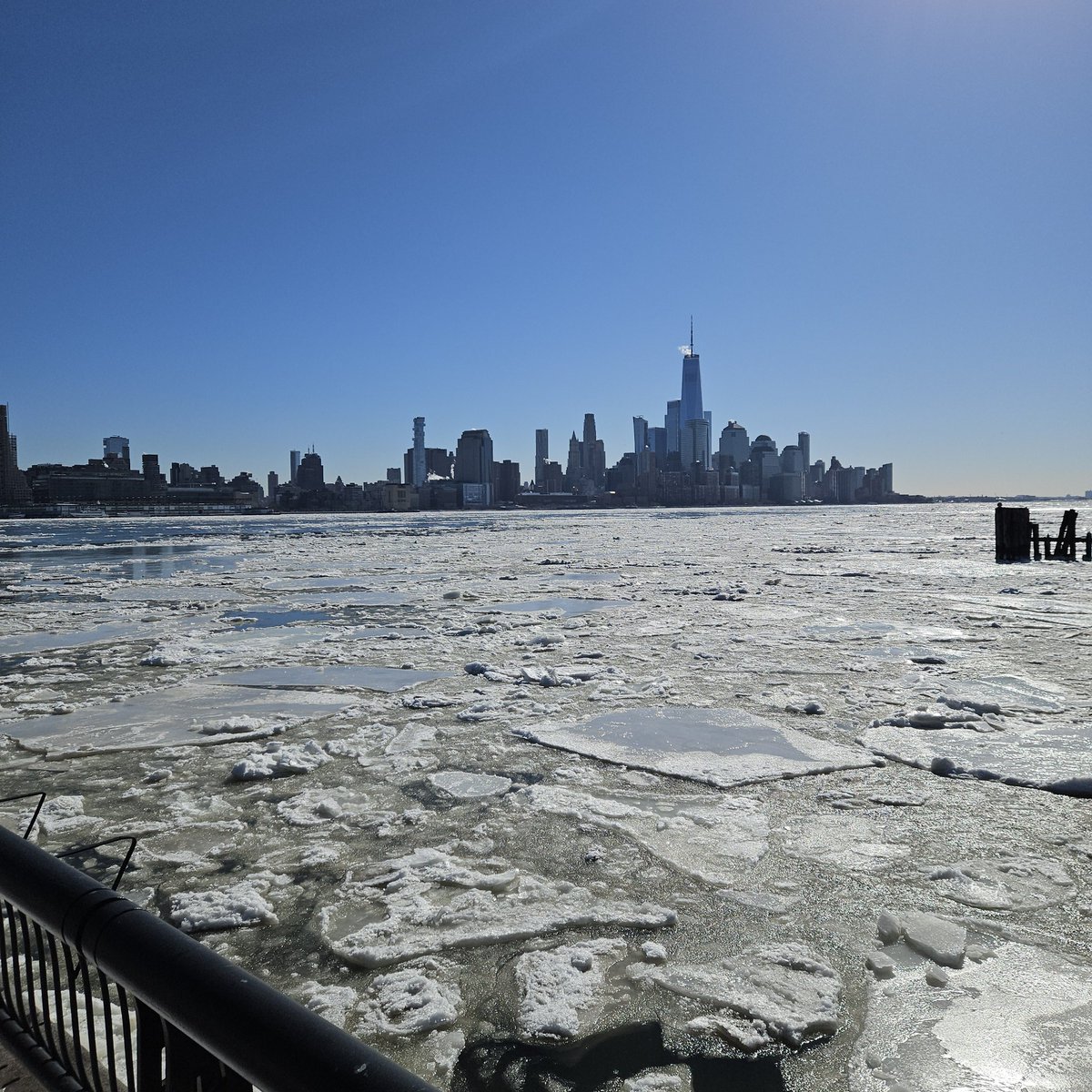 Thomas Porteous tweet media