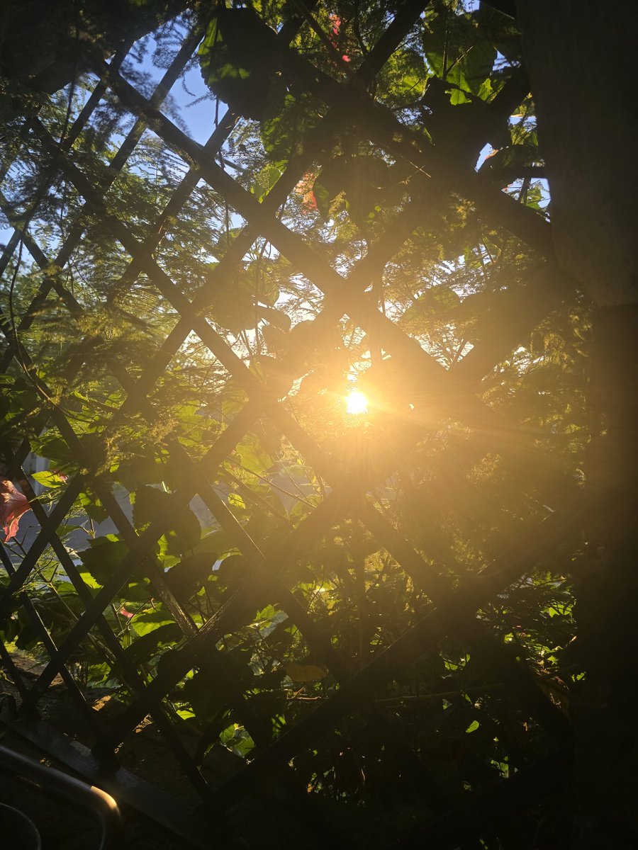 vivividamia's tweet photo. @lucas_sugo después de cada tormenta,  siempre sale el sol !!! https://t.co/bEcioIMOyd