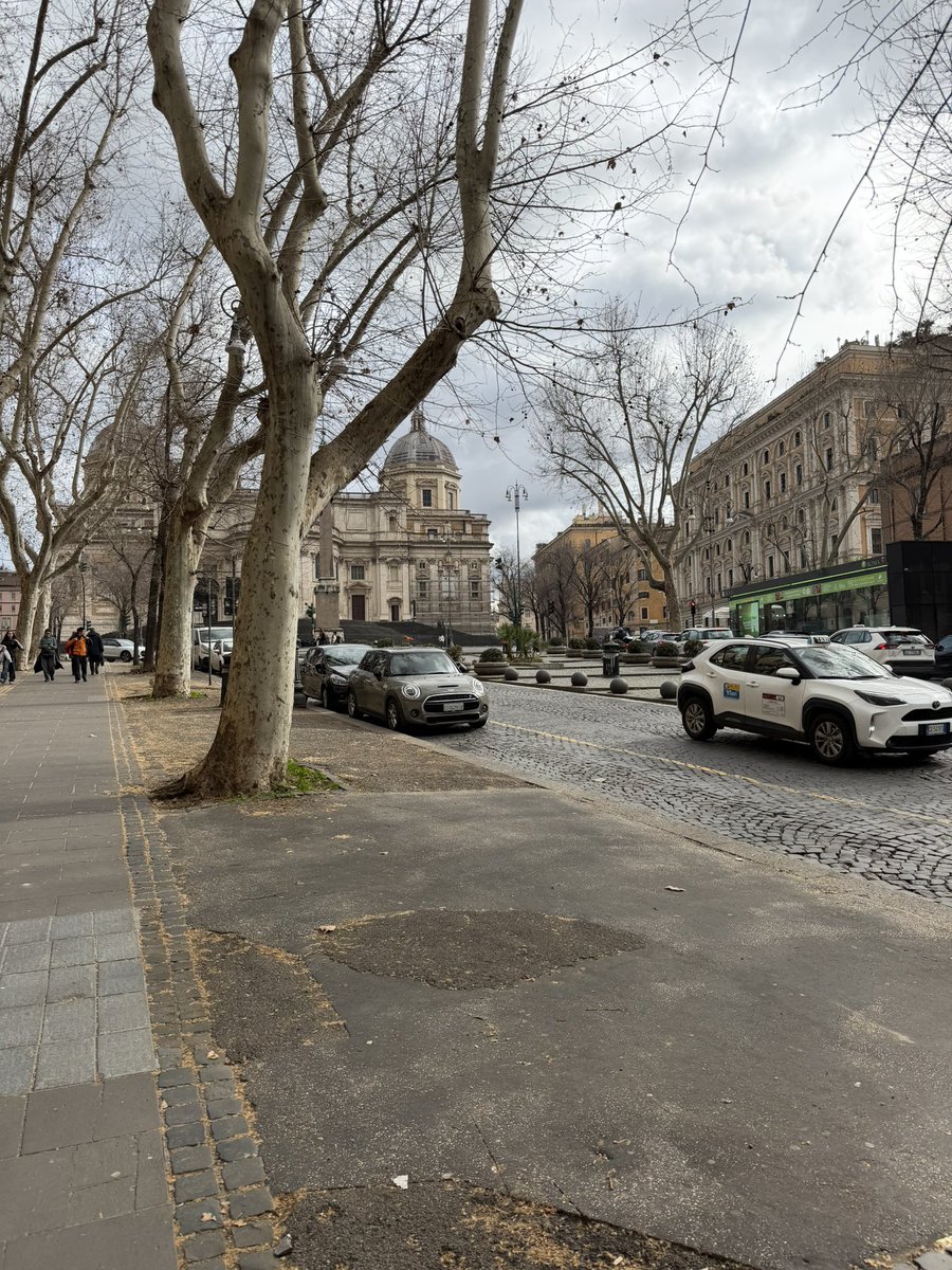 dhermes 🇧🇷🇮🇪 tweet media