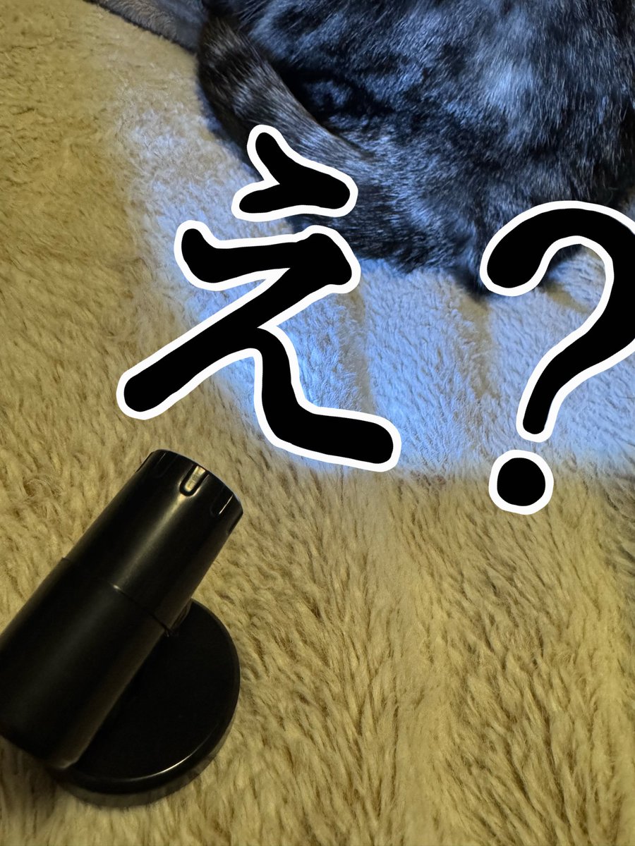 Σค(°ㅅ°ค(°ㅅ°ค(°ㅅ°;)ค 🔦