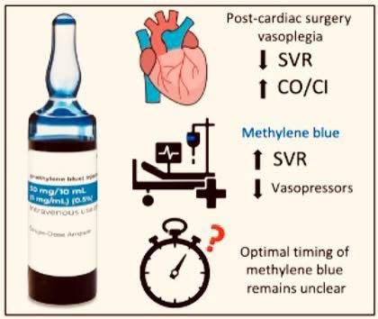 En el síndrome VASOPLÉJICO post cirugía cardíaca, el AZUL de metileno puede mejorar la
HEMODINAMIA, reducir requerimientos de VASOPRESORES, e impactar en
MORTALIDAD y falla ORGÁNICA...

researchgate.net/publication/38…