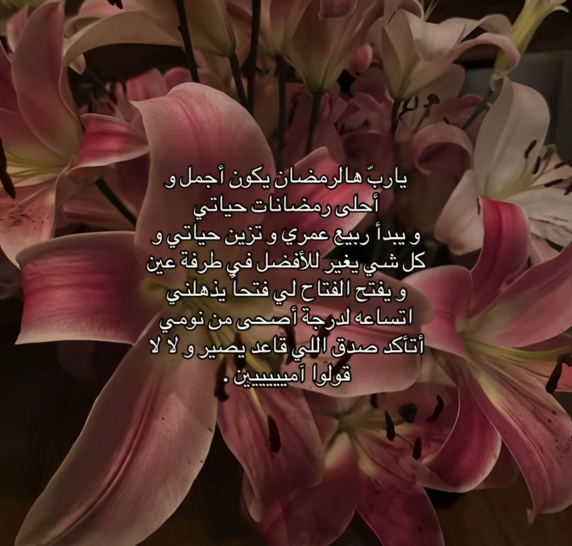 مَيساء | Miysa (@l__a10) on Twitter photo 