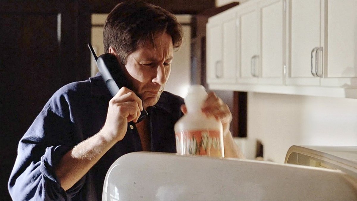 spooky haley 🛸 tweet media