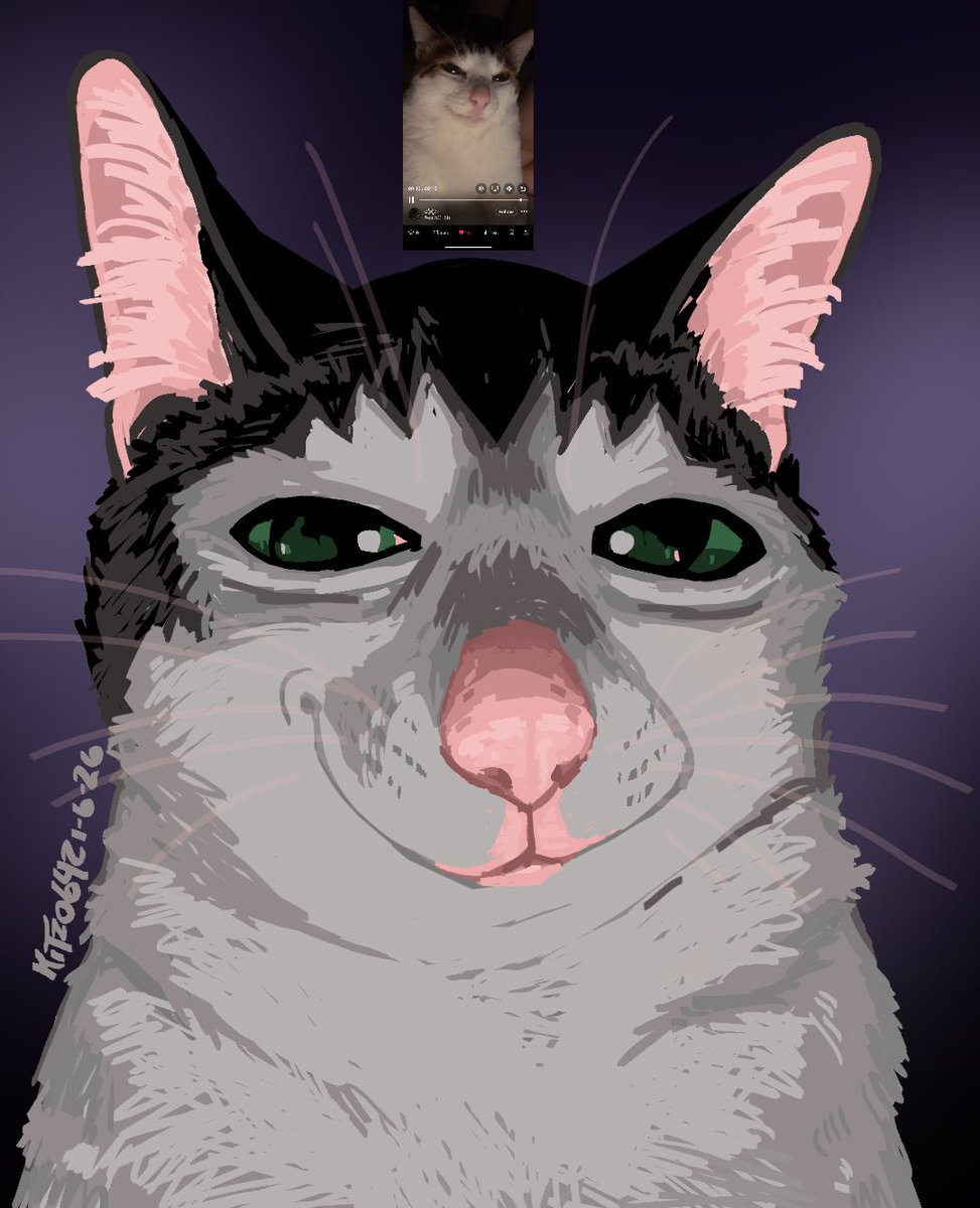 Kitzo642A's tweet photo. Cat 💜 https://t.co/2NBc8OUVZ4