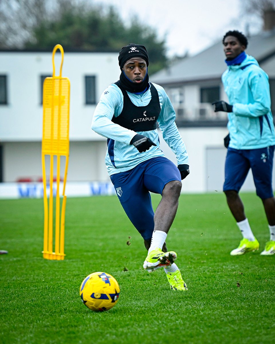 Watford Football Club tweet media