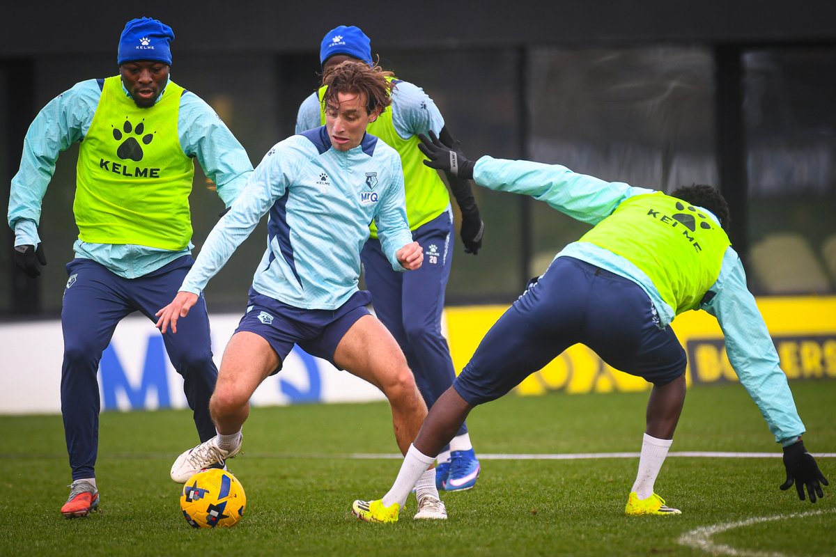 Watford Football Club tweet media