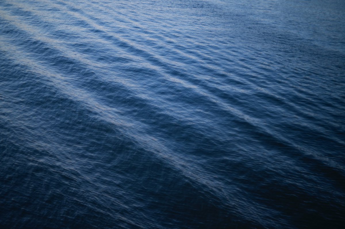 honokaichiryu's tweet photo. 単刀直入に言います！！
フォロワー増やしたいです！
有名にしてください！！！

どうも写真家のタマゴの一柳です！
“縁”と“いのち”をテーマに撮影しています！

そこのあなた！！！
写真がいいと思ったらフォローしてください！

表参道で個展やってます！！！！！ https://t.co/jGWUU4GAY9
