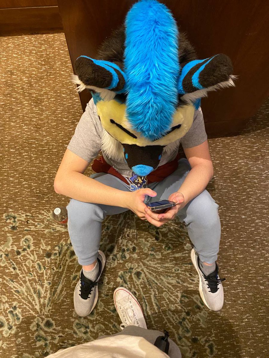 Shep🖌🐾 tweet media