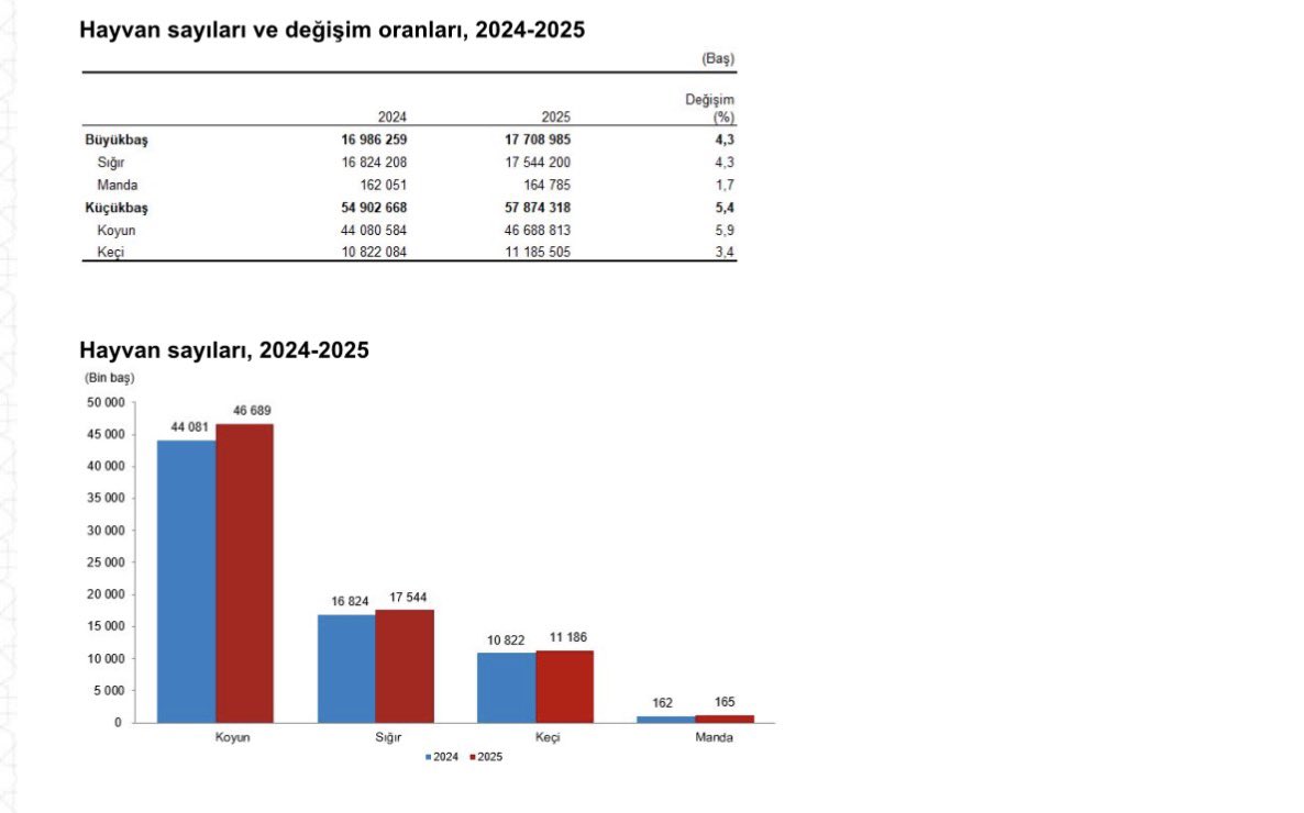 Gözünüz aydın,  hayvan sayısı artmış

📍Tarım ve Orman Bakanlığı, 2025 yılı  Hayvansal Üretim İstatistikleri’ni hazırladı. Türkiye İstatistik Kurumu( TÜİK) da yayınladı. 

📍Şap hastalığına, yüksek maliyet, düşük çiğ süt fiyatı nedeniyle hayvancılığı bırakanlara rağmen hayvan