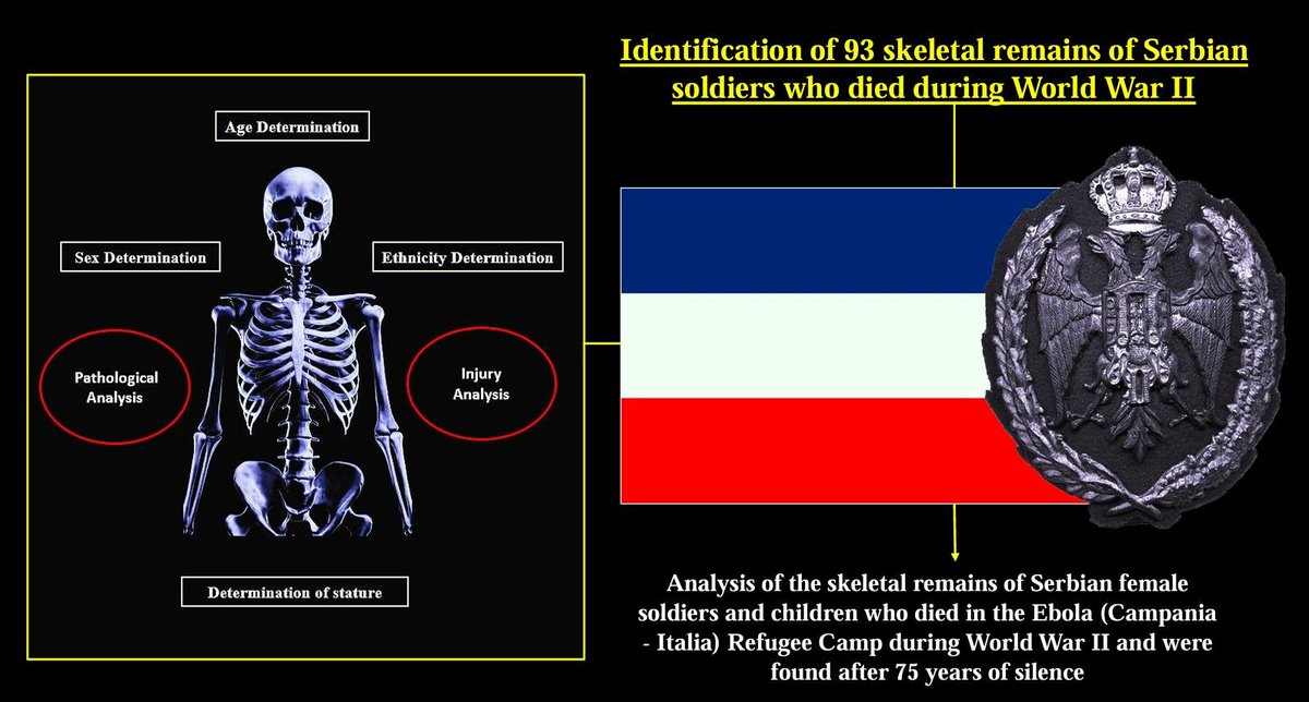 Humans_MDPI tweet media