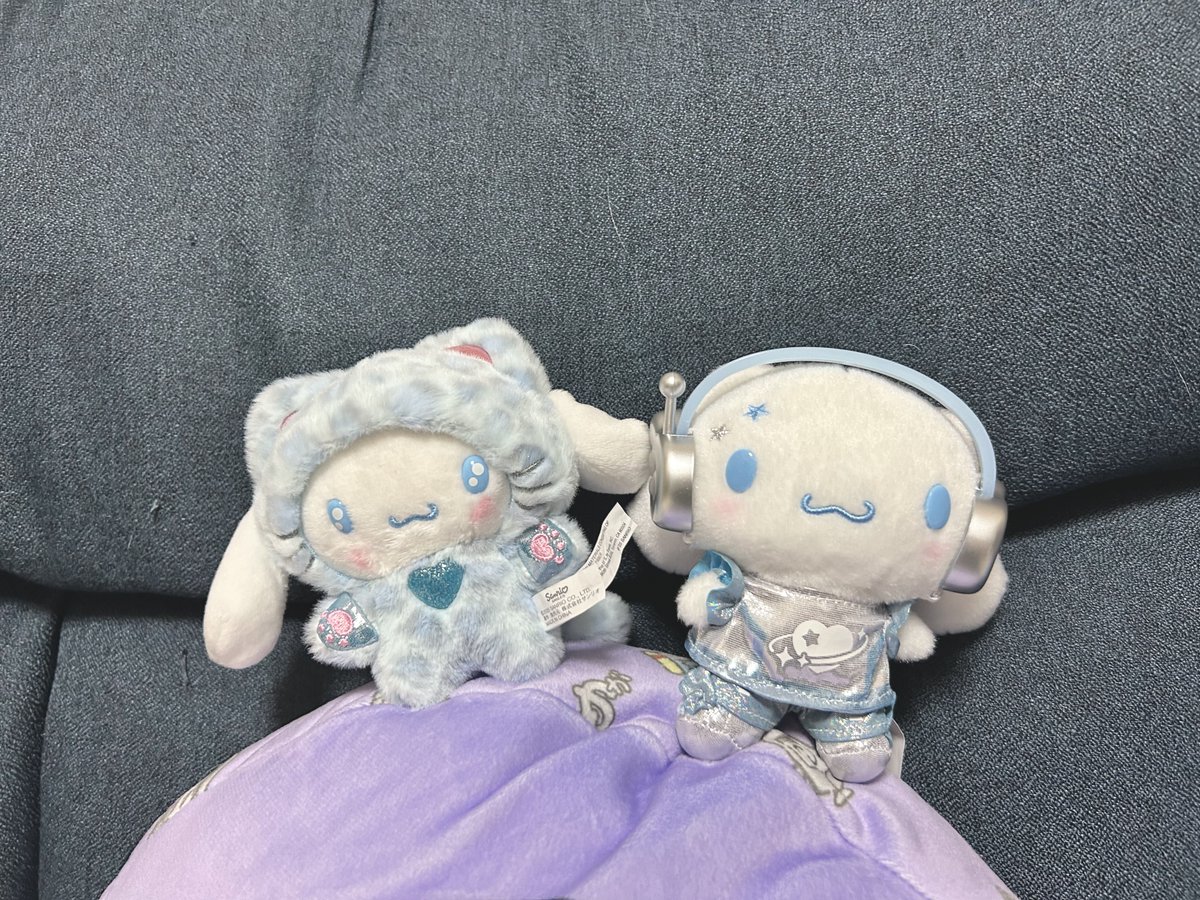 手持ちのシナモンをお見せします