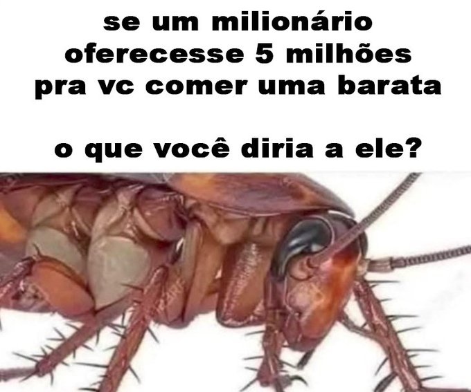 𝓓𝓾𝓭𝓪 tweet media