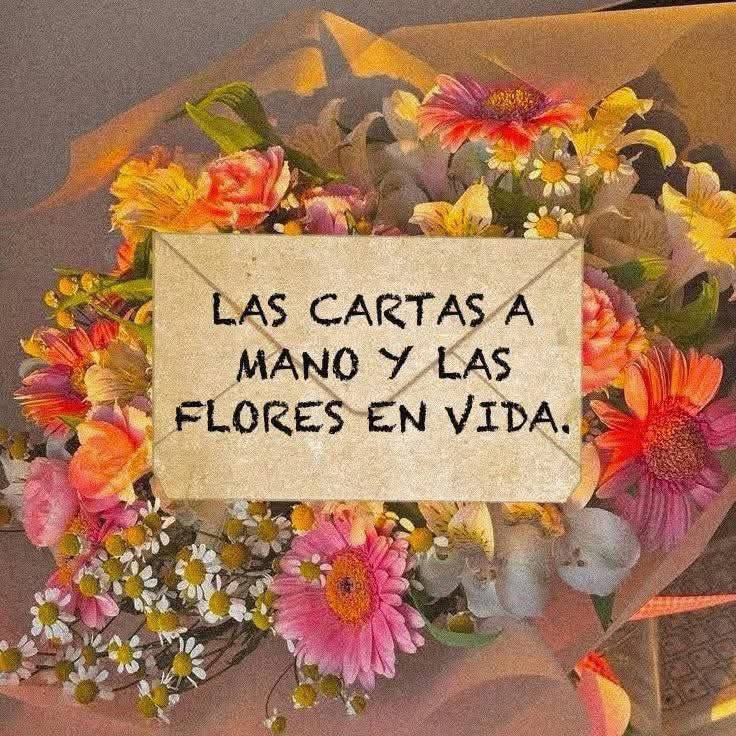 Dilo con dibujos tweet media