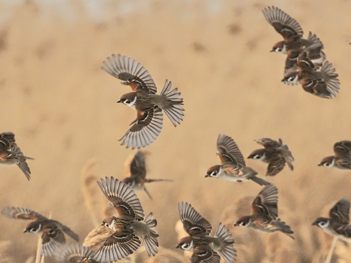 初めて見たような。