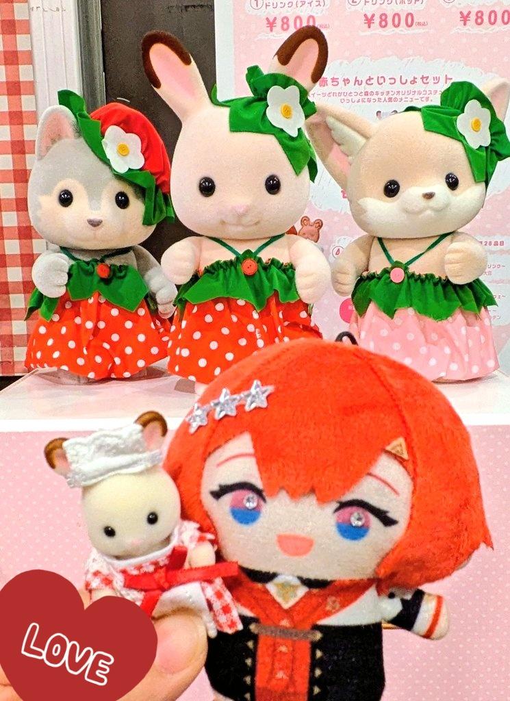 小豆の柴太郎 tweet media