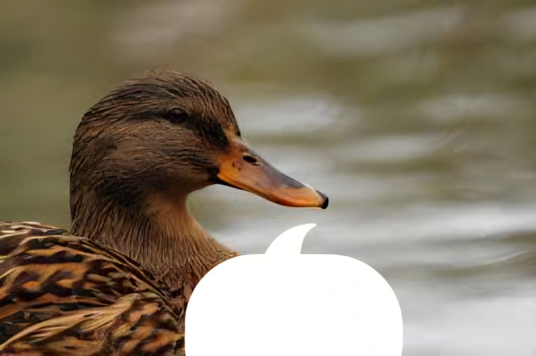 Pier il Piccoliano🏆 (@pierplague) on Twitter photo 